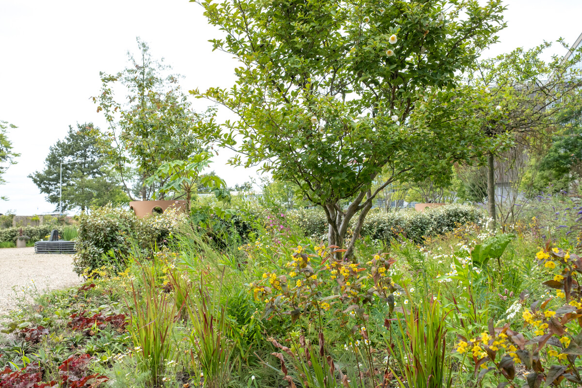 Houthavens Botanique, Amsterdam