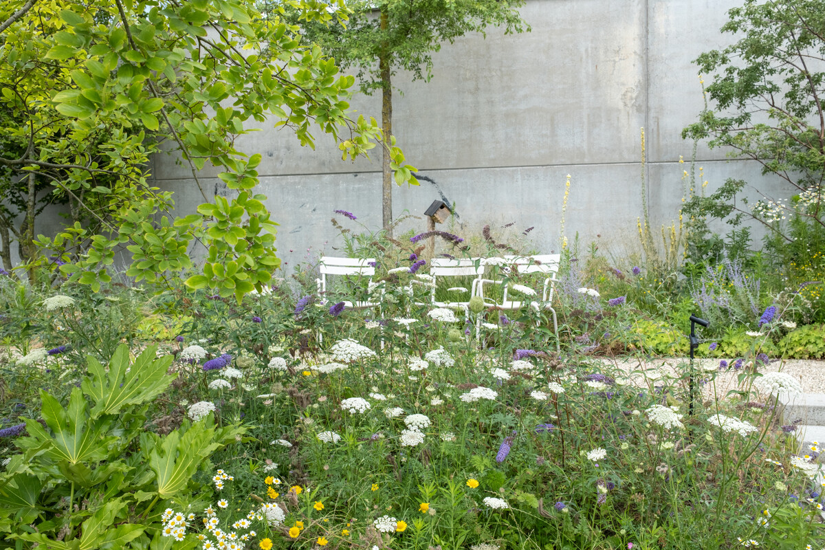 Houthavens Botanique, Amsterdam