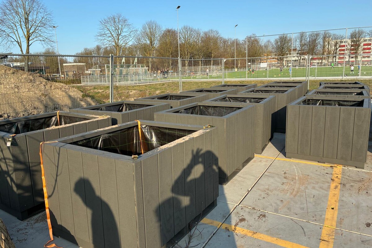 Bomen in bakken voor de Binnenstad van Dokkum 