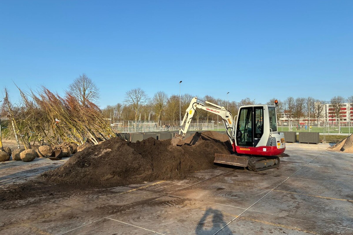 Bomen in bakken voor de Binnenstad van Dokkum 