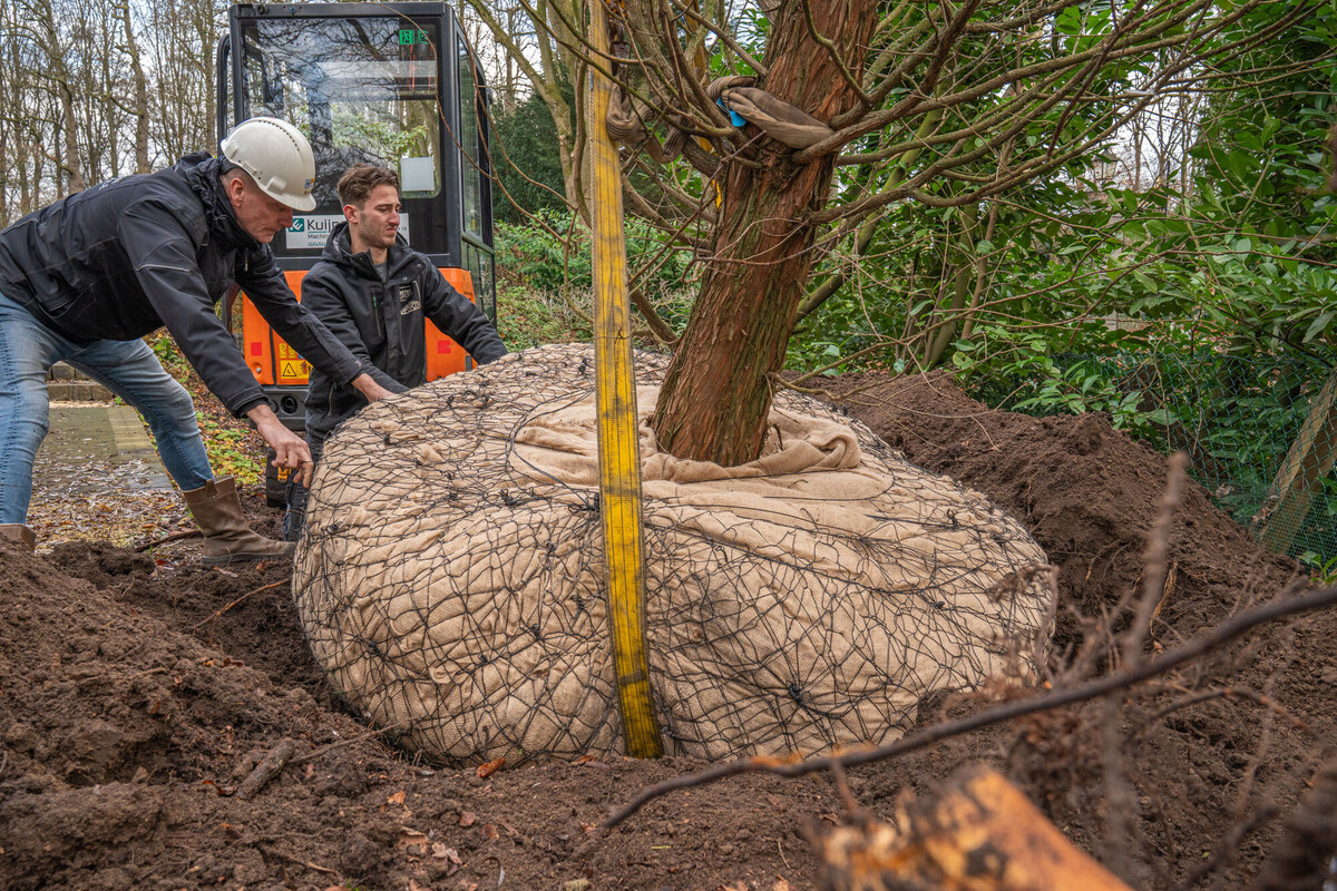 Positioneren in plantgat