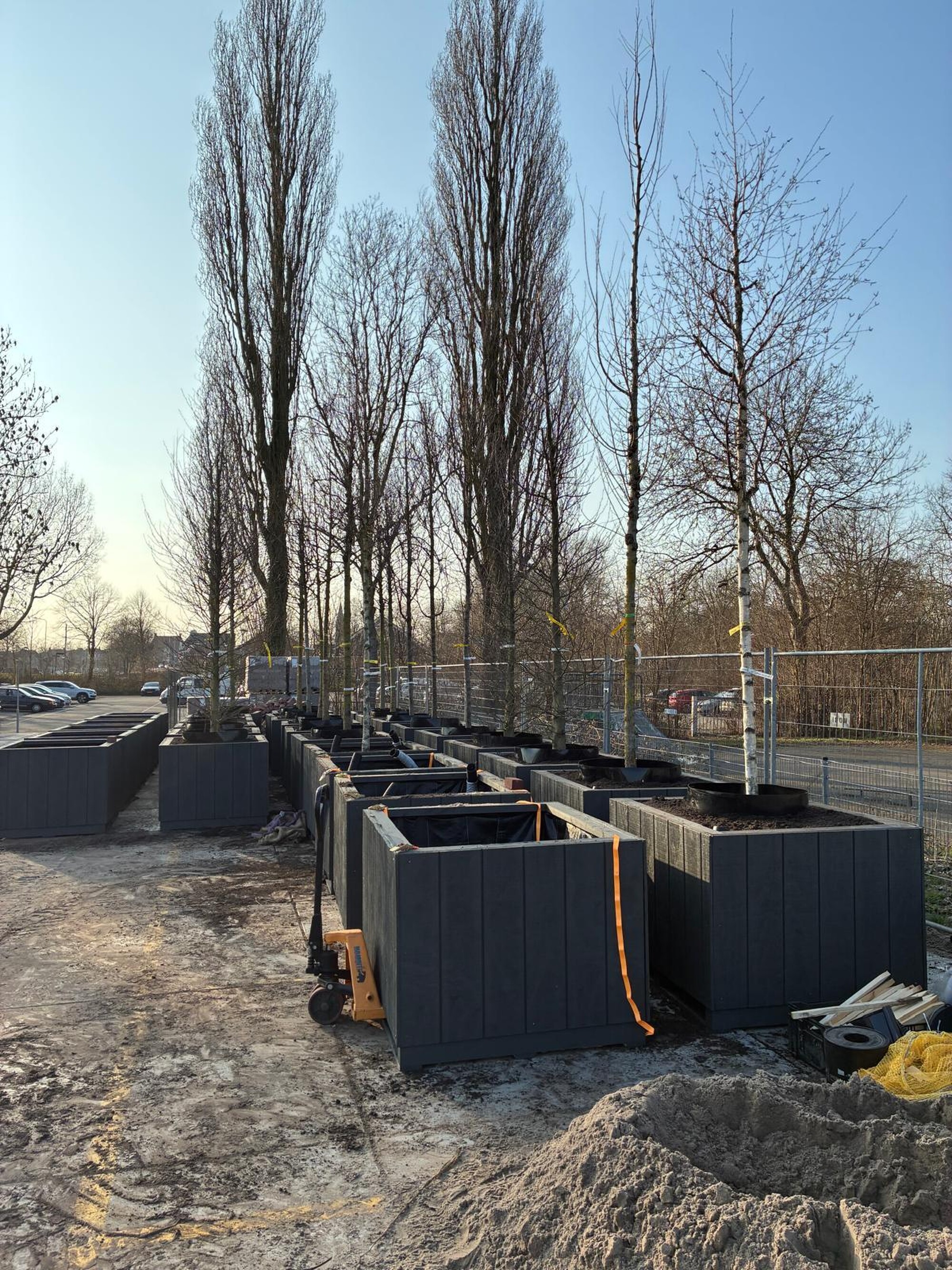 Bomen in bakken voor de Binnenstad van Dokkum 