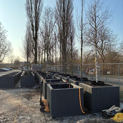 Vergroenen binnenstad Dokkum